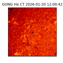 gong - 2026-01-20T12:00:42