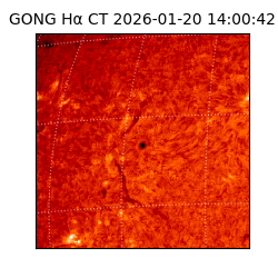 gong - 2026-01-20T14:00:42