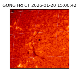 gong - 2026-01-20T15:00:42