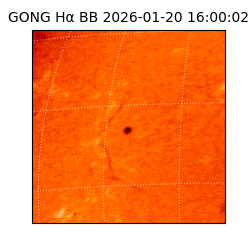 gong - 2026-01-20T16:00:02