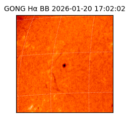 gong - 2026-01-20T17:02:02