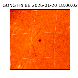 gong - 2026-01-20T18:00:02