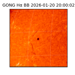 gong - 2026-01-20T20:00:02