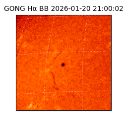 gong - 2026-01-20T21:00:02