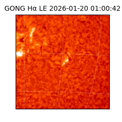 gong - 2026-01-20T01:00:42