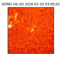 gong - 2026-01-20T03:00:02