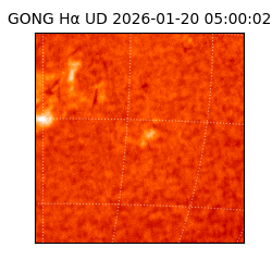gong - 2026-01-20T05:00:02