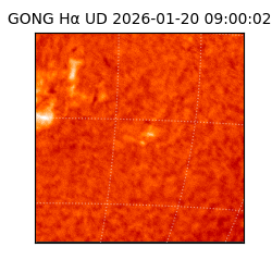 gong - 2026-01-20T09:00:02
