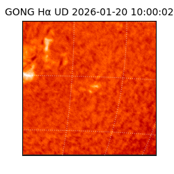 gong - 2026-01-20T10:00:02