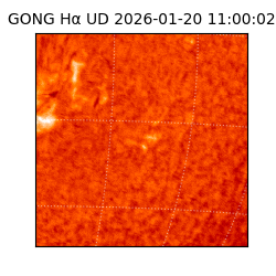 gong - 2026-01-20T11:00:02