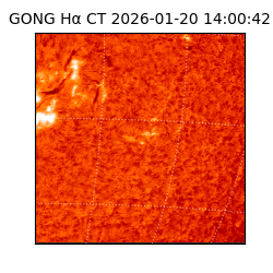 gong - 2026-01-20T14:00:42