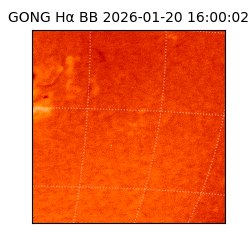 gong - 2026-01-20T16:00:02