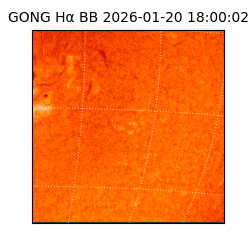 gong - 2026-01-20T18:00:02