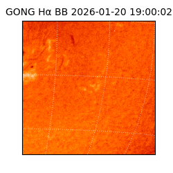gong - 2026-01-20T19:00:02