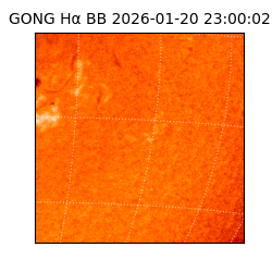 gong - 2026-01-20T23:00:02