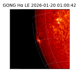 gong - 2026-01-20T01:00:42
