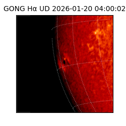 gong - 2026-01-20T04:00:02
