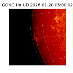 gong - 2026-01-20T05:00:02