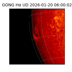 gong - 2026-01-20T06:00:02