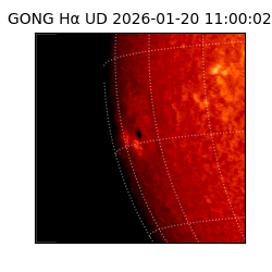 gong - 2026-01-20T11:00:02