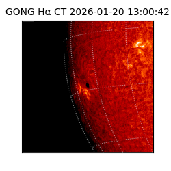 gong - 2026-01-20T13:00:42