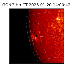 gong - 2026-01-20T14:00:42