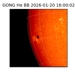 gong - 2026-01-20T16:00:02
