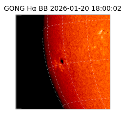 gong - 2026-01-20T18:00:02