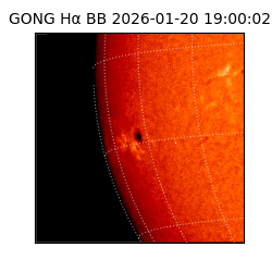 gong - 2026-01-20T19:00:02