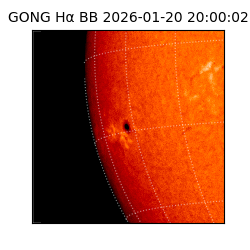 gong - 2026-01-20T20:00:02