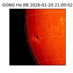 gong - 2026-01-20T21:00:02