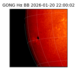 gong - 2026-01-20T22:00:02