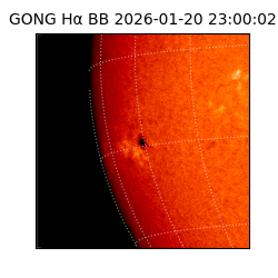 gong - 2026-01-20T23:00:02