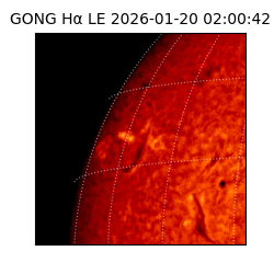 gong - 2026-01-20T02:00:42