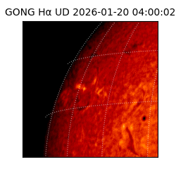 gong - 2026-01-20T04:00:02