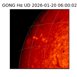 gong - 2026-01-20T06:00:02