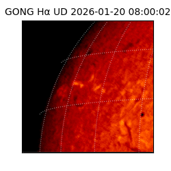 gong - 2026-01-20T08:00:02