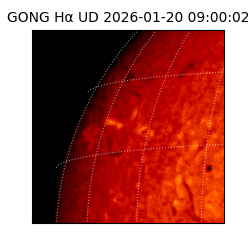 gong - 2026-01-20T09:00:02