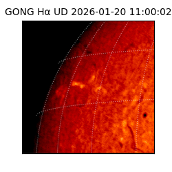 gong - 2026-01-20T11:00:02