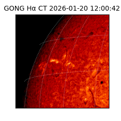 gong - 2026-01-20T12:00:42