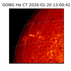 gong - 2026-01-20T13:00:42