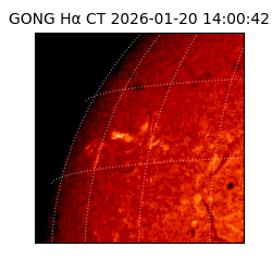 gong - 2026-01-20T14:00:42