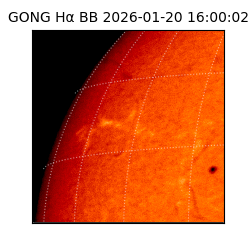 gong - 2026-01-20T16:00:02