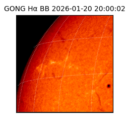 gong - 2026-01-20T20:00:02