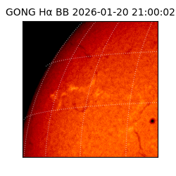 gong - 2026-01-20T21:00:02