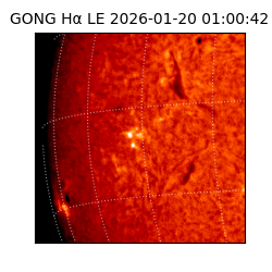 gong - 2026-01-20T01:00:42