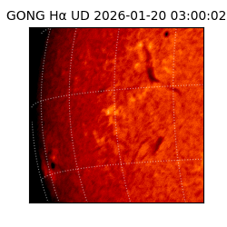 gong - 2026-01-20T03:00:02