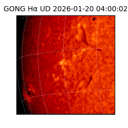gong - 2026-01-20T04:00:02