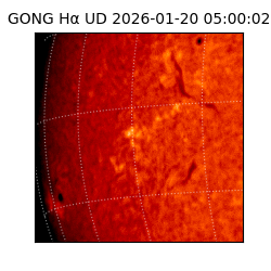 gong - 2026-01-20T05:00:02