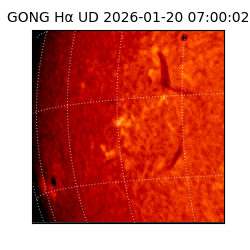 gong - 2026-01-20T07:00:02